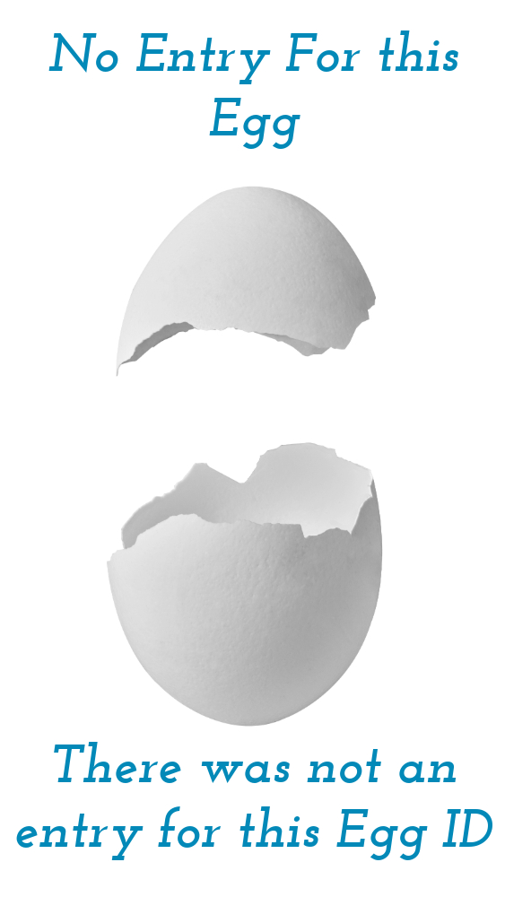 00 no-placeholder-egg